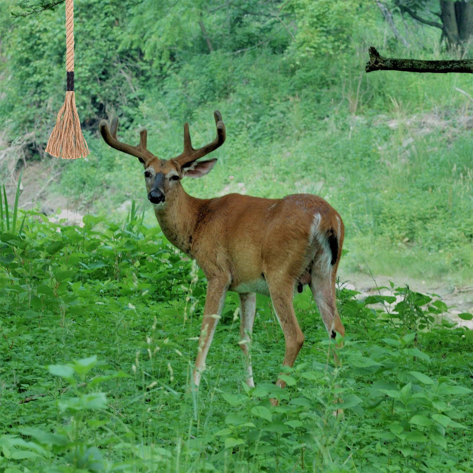 Deer Attractant Scent - Raspe de veado eficaz de longa