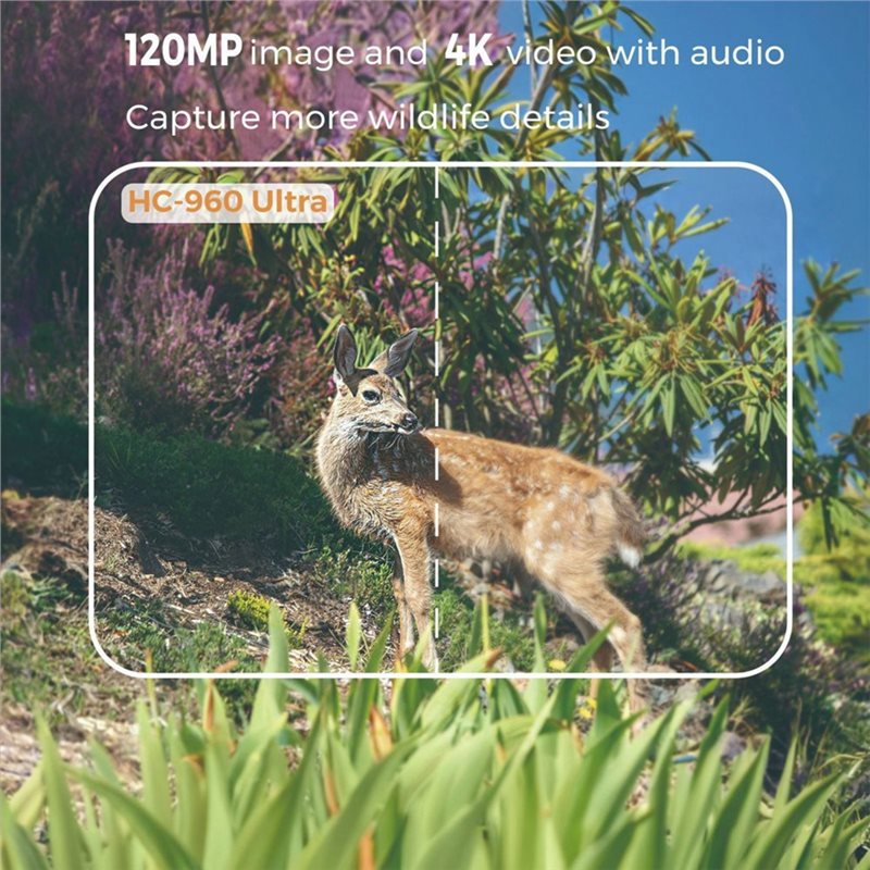 Câmera de Caça FEDI à Prova d' - Hunting Outdoor Camera avaliação e preço