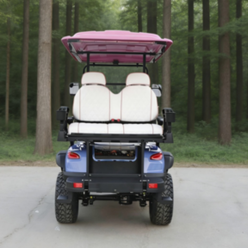 Carrinho de Golfe Elétrico par - Outdoor Hunting Vehicle avaliação e preço