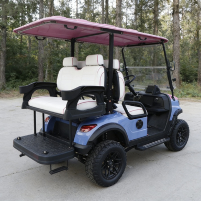 Carrinho de Golfe Elétrico par - Outdoor Hunting Vehicle avaliação e preço