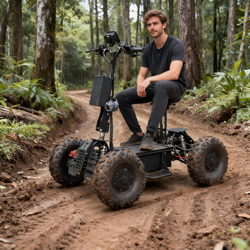 Scooter elétrico off-road de 6 - Outdoor Hunting Vehicle avaliação e preço