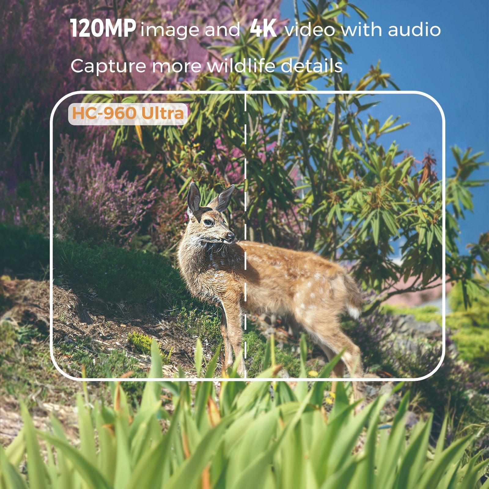 Vídeo 4k ao ar livre 120mp fot - Hunting Outdoor Camera avaliação e preço