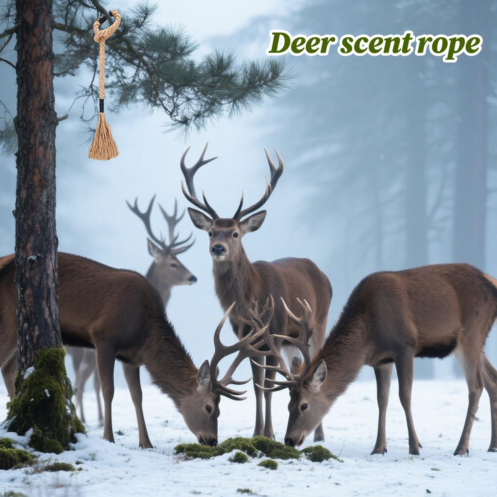 Raspe de veado eficaz de longa - Deer Attractant Scent avaliação e preço