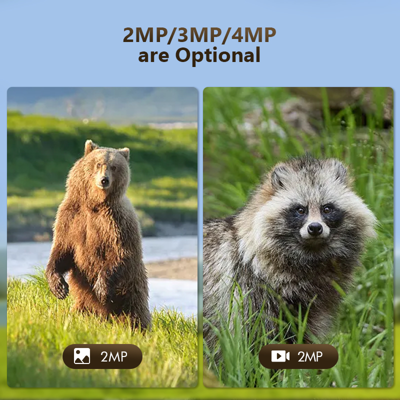 Câmera de jogo de trilha de ca - Hunting Outdoor Camera avaliação e preço