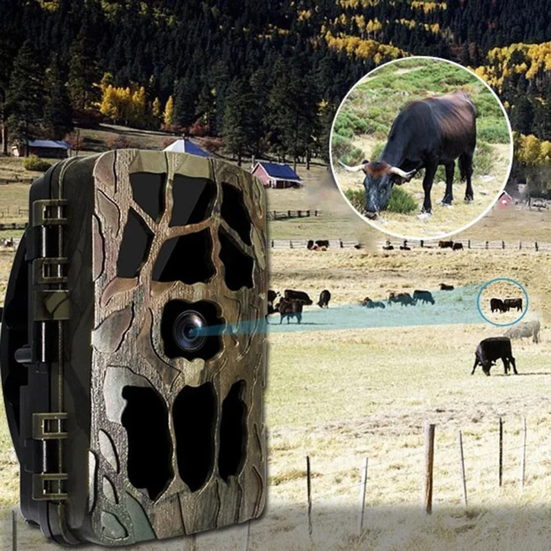 H982 IP66 à prova d'água 4K in - Hunting Outdoor Camera avaliação e preço